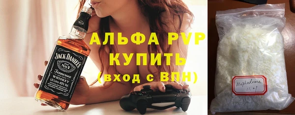 индика Алексин