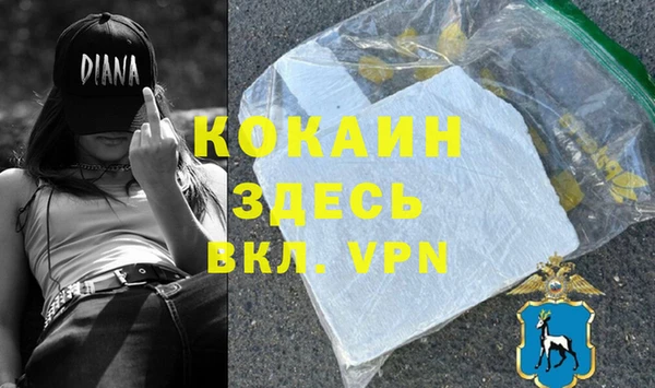 индика Алексин