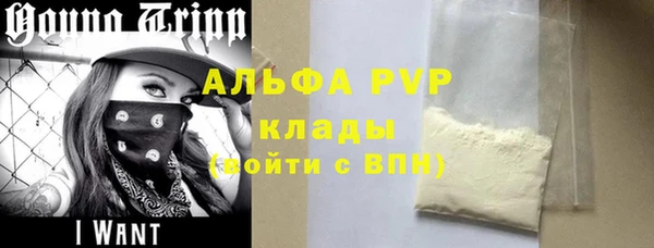 индика Алексин