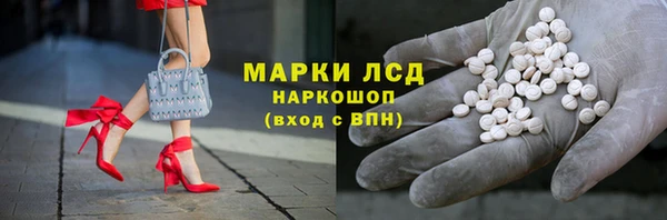 индика Алексин