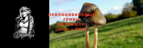 синтетический гашиш Алексеевка