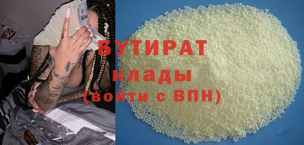 индика Алексин