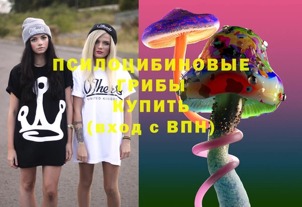 индика Алексин