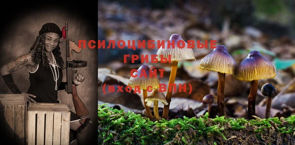 синтетический гашиш Алексеевка