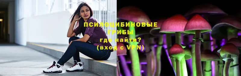 Псилоцибиновые грибы Psilocybe  Долинск 