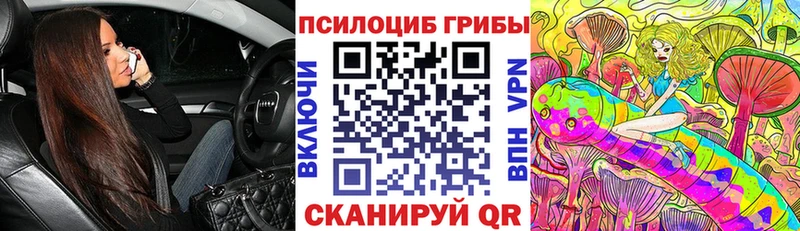 как найти   Долинск  Псилоцибиновые грибы Cubensis 